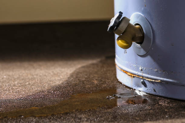 Carpet water damage restoration in Presidio, TX