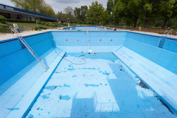 Best Water damage cleanup near me  in Presidio, TX
