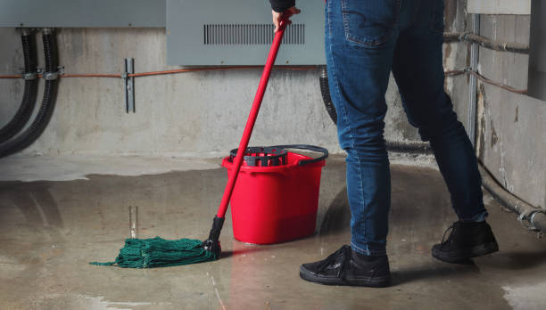  Presidio, TX Water damage restoration Pros