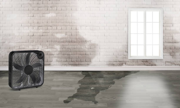 Best 24/7 water damage repair  in Presidio, TX