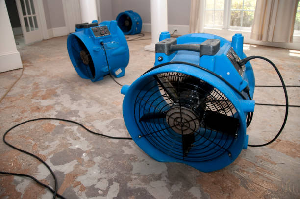 Best Commercial water damage restoration  in Presidio, TX