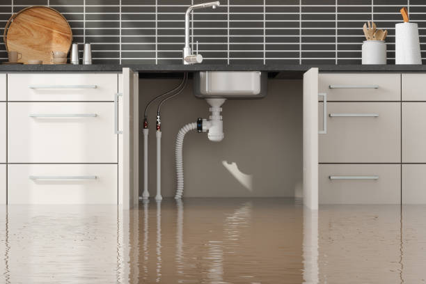 Best 24-hour water damage restoration  in Presidio, TX