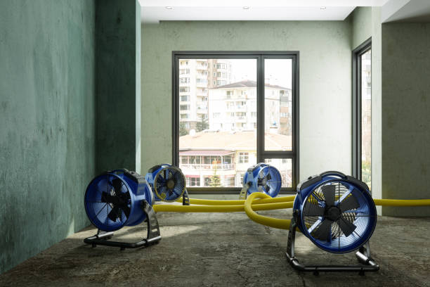 Best Water damage restoration experts  in Presidio, TX