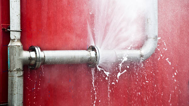 Best Mold removal after water damage  in Presidio, TX