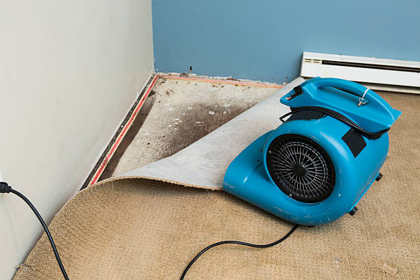 Best Emergency water damage restoration  in Presidio, TX
